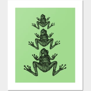 Three Doodle Frogs Posters and Art